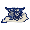 Kentucky Wildcats State Shape Embroidered Patch