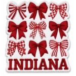 Indiana bow embroidered patch with nine red and white bows, striped and checker patterns, and bold Indiana lettering