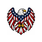 Patriotic American eagle embroidered patch with USA flag colors and stars