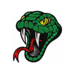 Green cobra snake embroidered patch with yellow eye and red tongue
